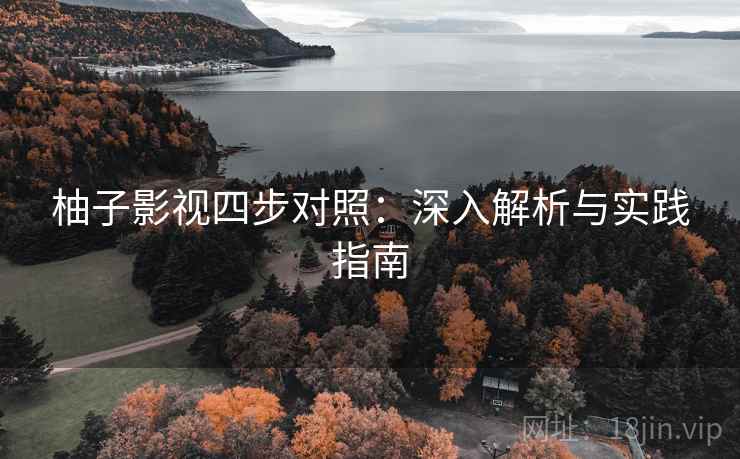 柚子影视四步对照：深入解析与实践指南